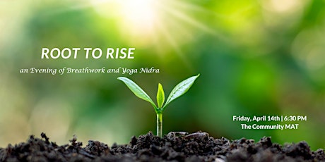 Root to Rise ~ an Evening of Breathwork and Yoga Nidra