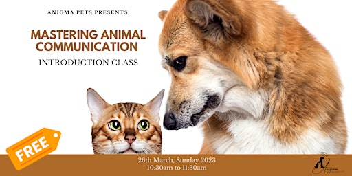 Mastering Animal Communication Course Introduction Class