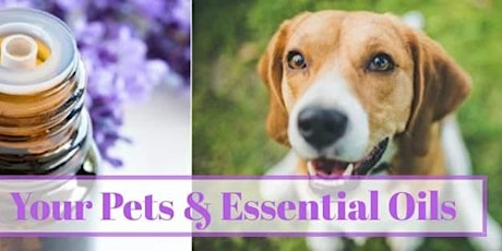 You, Your Pets & Essential Oils primary image