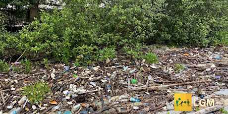 Imagen principal de Coastal Cleanup + : Kranji Coastal Nature Park