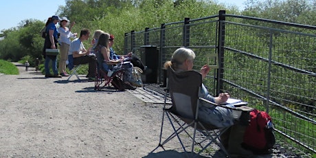 Walk and Sketch at RSPB Ham Wall primary image