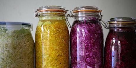 Full day Introduction to Fermentation (farm-based)