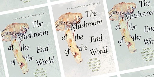 The Mushroom at the End of the World: Book Group