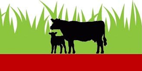 UGA Whitfield County - 2018 Northwest Georgia Master Cattleman Program