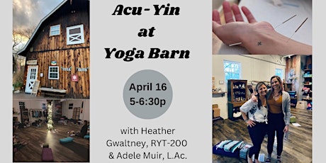 Acu-Yin at Yoga Barn for Spring