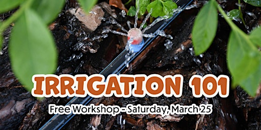 Irrigation 101