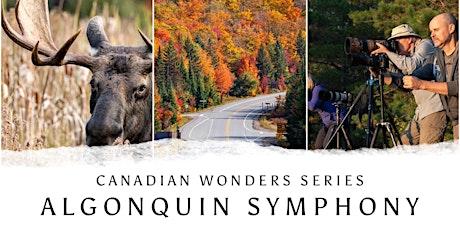 Canadian Wonders | Algonquin Symphony - Photo Workshop - Autumn 2023