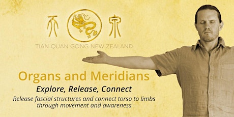 Organs and Meridians #1; Qigong techniques to explore, release, connect primary image