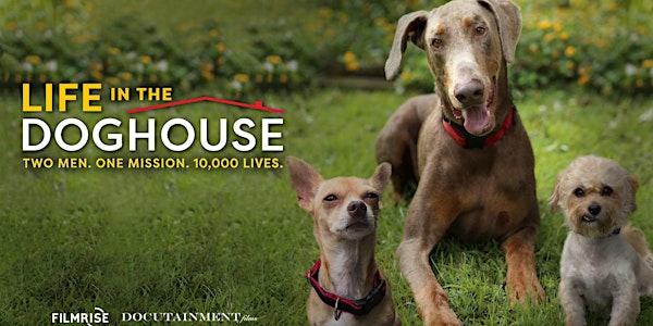 LIFE IN THE DOG HOUSE