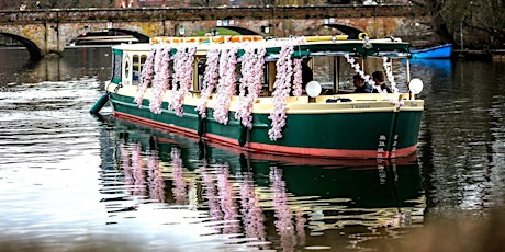 Titania Blossom River Cruise primary image