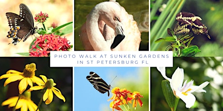 Photo Walk at Florida's Sunken Gardens with OurPhotoTribe