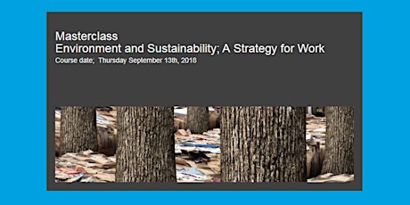 Environment and Sustainability; A Strategy at Work