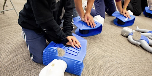 Imagem principal de Flex Point Academy: First Aid and CPR Training