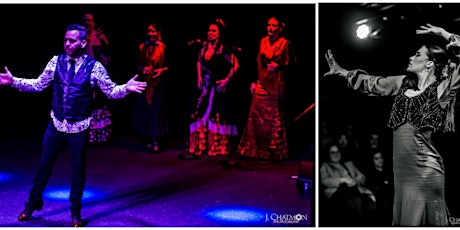 Flamenco Floreciendo  - Flamenco Dance & Live Music from around the Globe