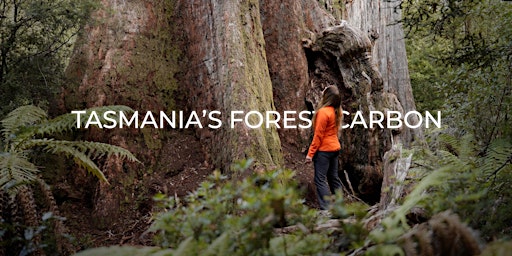 Tasmania's Forest Carbon: Documentary Premiere