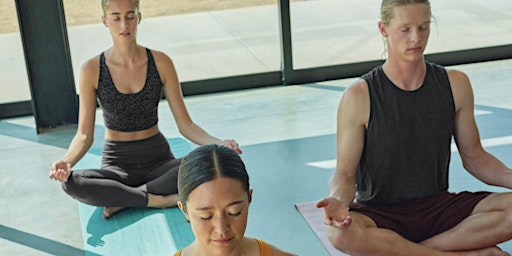 Vin Yin Yoga Class  primärbild