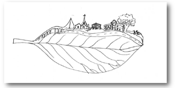 Green Infrastructure for Coastal Resilience