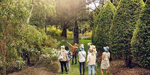Guided Tour - Bush Tucker and The Rainforest, Roma Street Parkland