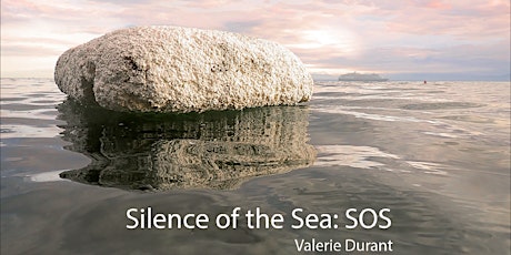 Silence of the Sea  -  An artist talk & dialogue with artist Valerie Durant