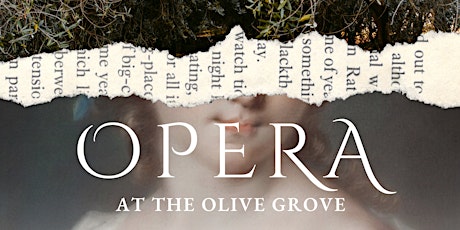 Imagen principal de Opera At The Olive Grove