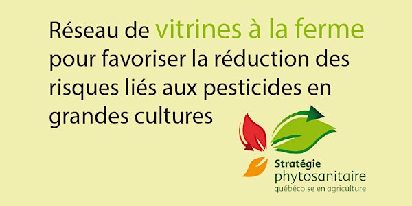 Herbicides à moindre risque dans le maïs (Chaudière-Appalaches)