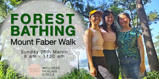 Forest Bathing - Mount Faber Walk