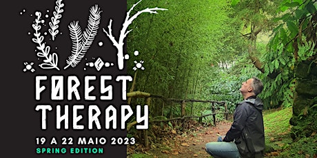 Imagem principal de Forest Therapy Azores-Retiro de Imersão na Natureza