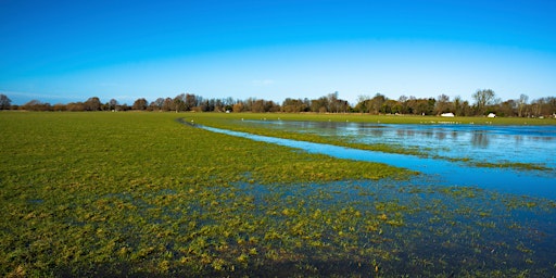 Is Natural Flood Management the next big green investment opportunity?