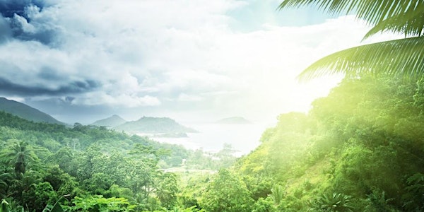 Rainforest Connector - September 2018