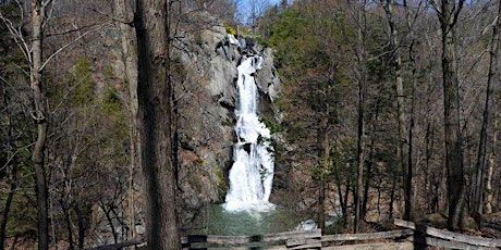 Q-MoB Hike: High Falls Conservation Area (Hudson, NY)