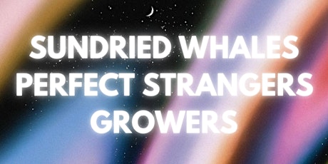 GROWERS, PERFECT STRANGERS, SUNDRIED WHALES | LIVE AT SILENCE, GUELPH