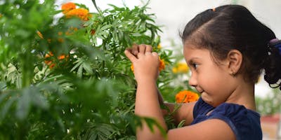The Importance of Gardening