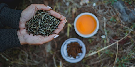 Nepal Tea Collective Investment Webinar