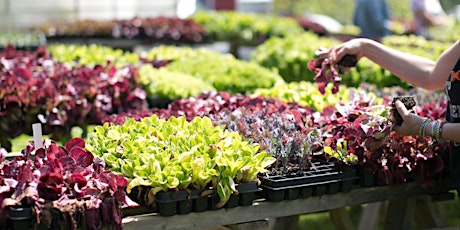 Earth Day Gardening Class primary image