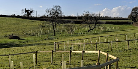 Hauptbild für West of England Local Nature Recovery Strategy webinar