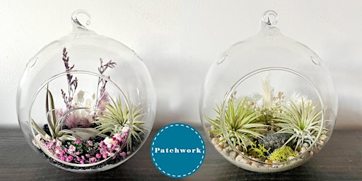 Patchwork Presents Air Plant Terrarium Craft Workshop  primärbild