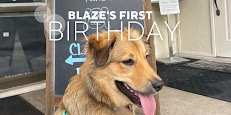 Blaze's First Birthday