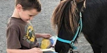 Read and Ride: Learning with HorsePlay primary image