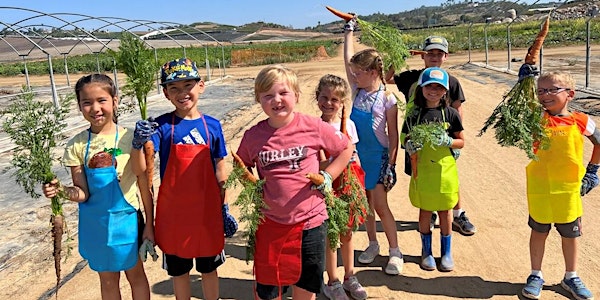 Summer Farm Camp, June 26-30 *SOLD OUT*
