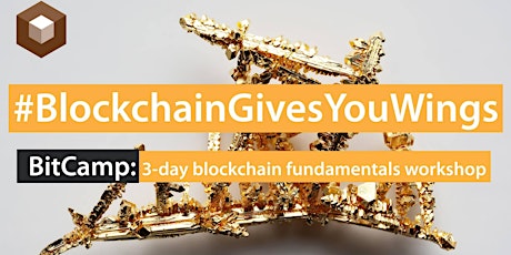 BitCamp Detroit: 3-day Intensive Blockchain Fundamentals Workshop primary image