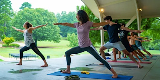 Habitual Yoga at Freedom Park