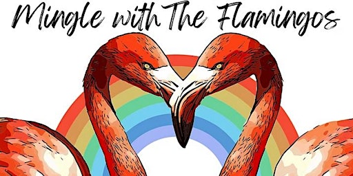Mingle with the Flamingos, w/ Will Evans!