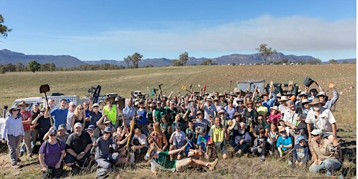 Capertee Valley Planting Supporting the Endangered Regent Honeyeater primary image