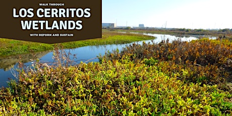 R&S Outdoor Adventures: Walk Through Los Cerritos Wetlands