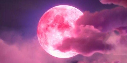 Magic  of  the Strawberry Moon + Summer Solstice