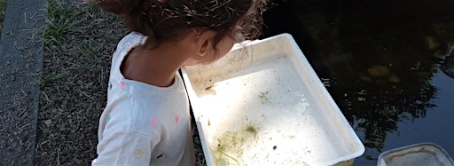 Collection image for Nature Tots at Walthamstow Wetlands