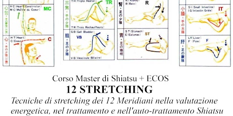 Master di Shiatsu &  STRETCHING dei 12 Meridiani