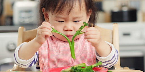 Primaire afbeelding van Introduction to Solid Foods Workshop, Reddings FC, 09/05/24 13:30 - 15:00