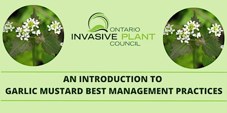 Introduction to Garlic Mustard Best Management Practices (VIRTUAL WORKSHOP) primary image