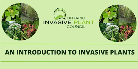 Hauptbild für An Introduction to Invasive Plants (VIRTUAL WORKSHOP)
